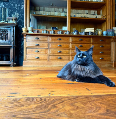 baronessonwaxedfloor