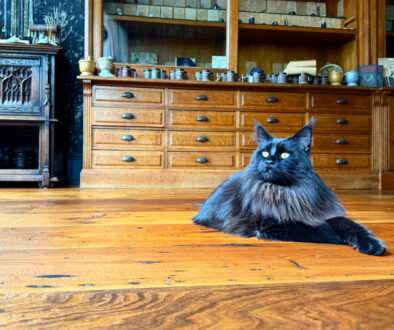 baronessonwaxedfloor
