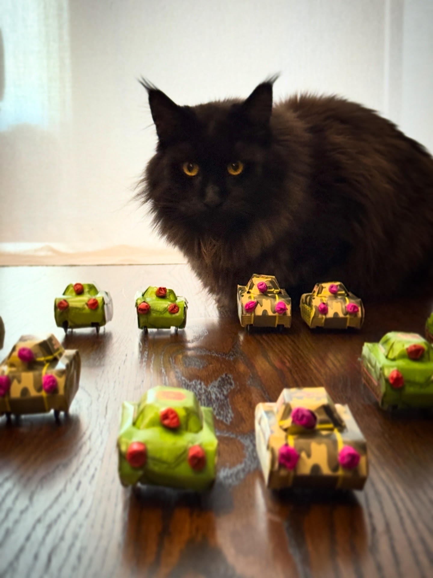 pawsjuly4