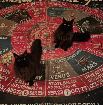 astrokitties