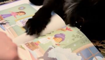 readtoyourcats