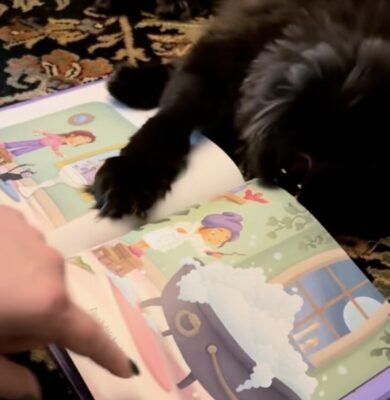 readtoyourcats
