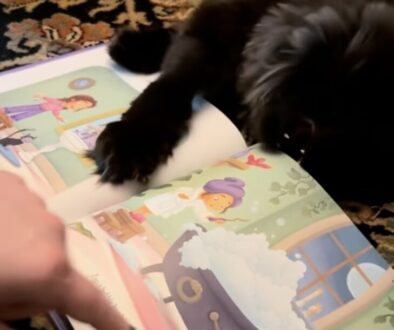 readtoyourcats