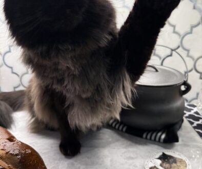 bakingwithmurderpaws