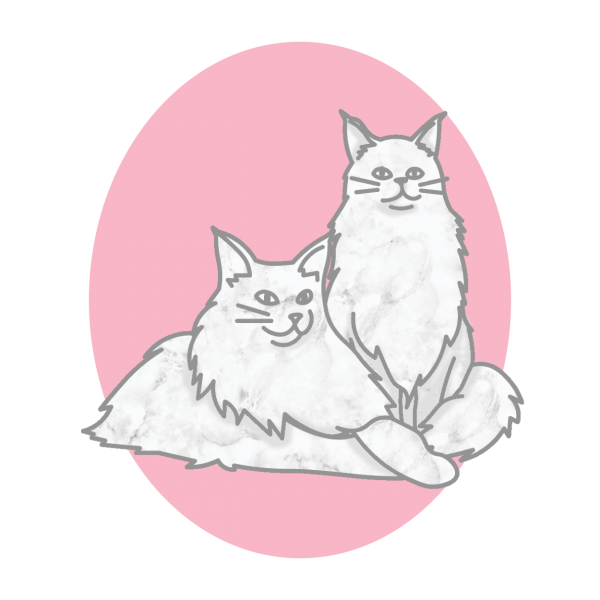 facesofcincinnatishopcats2025