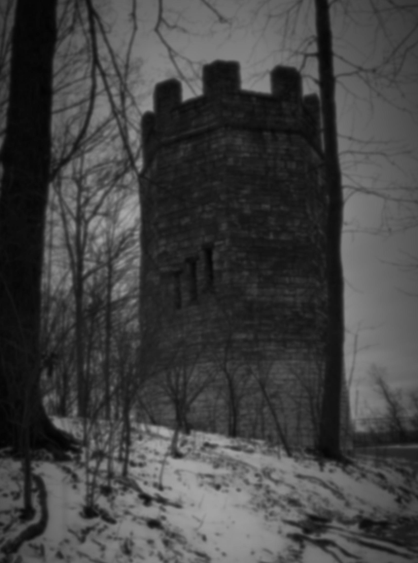 castlefranksteinstill